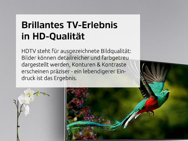 Brillantes TV Erlebnis in HD Qualität