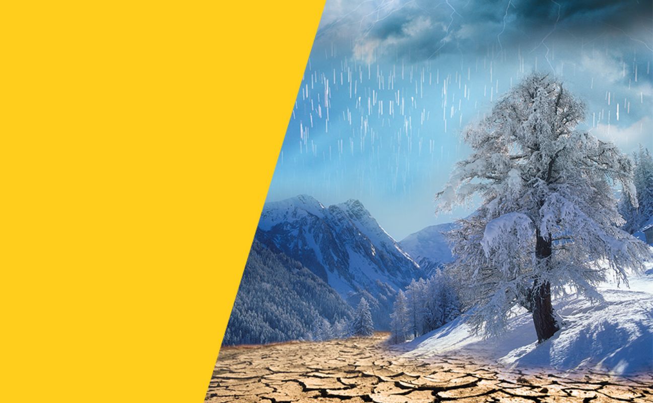 Stabil, Witterungsbeständig und absolut rostfrei